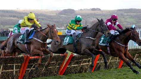 cheltenham festival champion hurdle|Cheltenham Festival: Champion Hurdle runner profiles as .